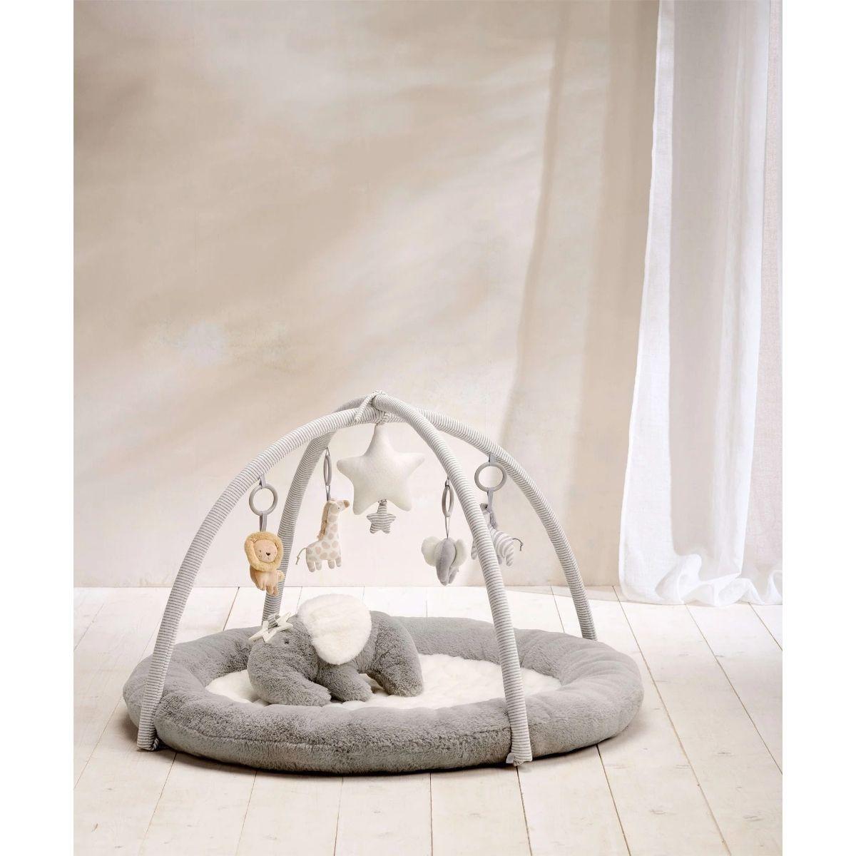 Bright Starts Activity Gym: Floral Safari | Mothercare SG